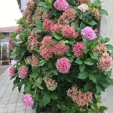 Casa Ortensia Chiusi della Verna Bagian luar foto